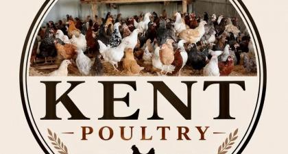 Stallholder image for Kent Poultry - Gaywood Farm
