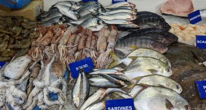 Stallholder image for Lewis' Fish