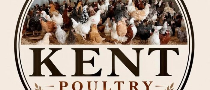 Kent Poultry - Gaywood Farm image